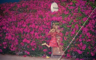 Pleasure Album Cover