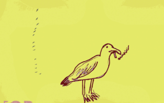 For the birds cover art