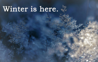 Frosted tree with text Winter is here.